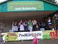 spot folk 07_112